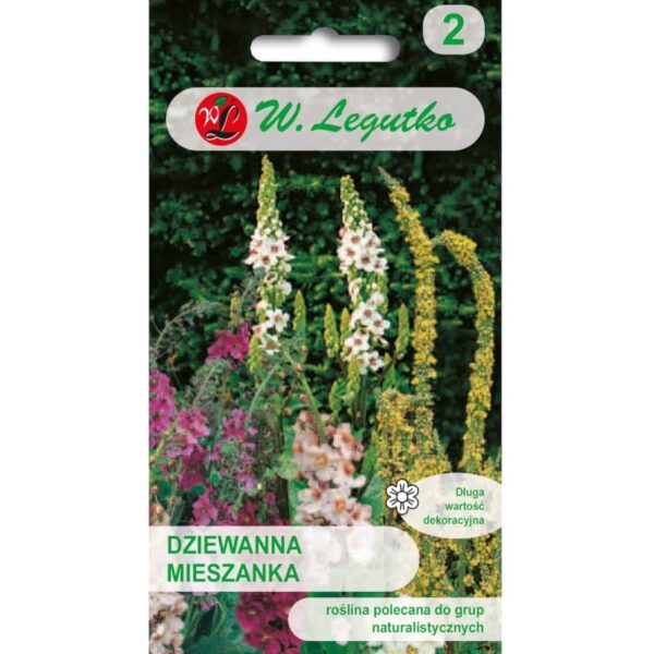 Dziewanna mieszanka gatunk&oacute;w wieloletnich nasiona 0