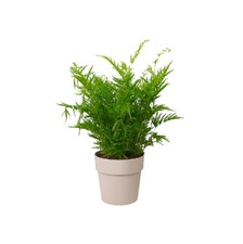 ELHO B.FOR ORIGINAL MINI OKRĄGŁA OSŁONKA 11CM SZARA