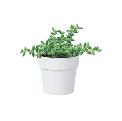 ELHO B.FOR ORIGINAL MINI OKRĄGŁA OSŁONKA 13CM BIAŁA