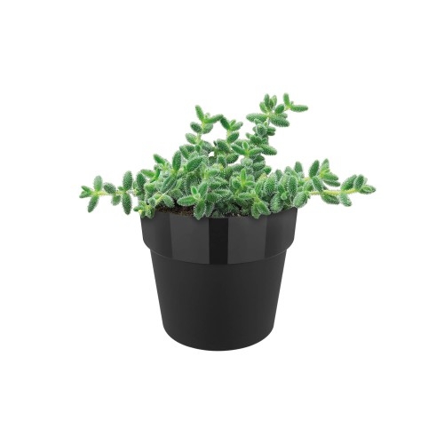 ELHO B.FOR ORIGINAL MINI OKRĄGŁA OSŁONKA 13CM CZARNA