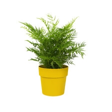 ELHO B.FOR ORIGINAL OKRĄGŁA OSŁONKA 16CM Ż&Oacute;ŁTA