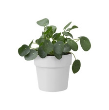 ELHO B.FOR ORIGINAL OKRĄGŁA OSŁONKA 18CM BIAŁA