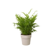 ELHO B.FOR ORIGINAL OKRĄGŁA OSŁONKA 18CM SZARA