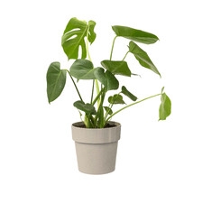 ELHO B.FOR ORIGINAL OKRĄGŁA OSŁONKA 25CM SZARA