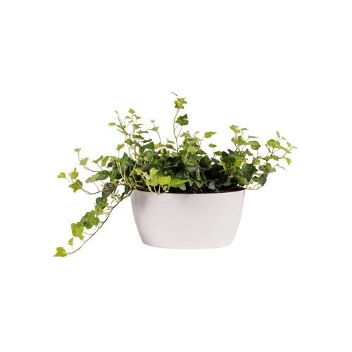 ELHO BRUSSELS OSLONKA MISA 23CM BIAŁA