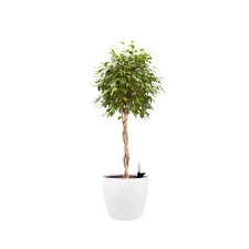 ELHO BRUSSELS OSŁONKA OKRĄGŁA 22CM BIAŁA