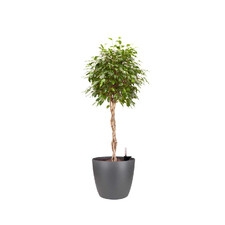 ELHO BRUSSELS OSŁONKA OKRĄGŁA 22CM CIEMNO SZARA