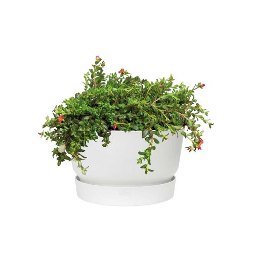 ELHO GREENVILLE DONICZKA MISA 33CM BIAŁA