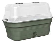 ELHO GROW TRAY L ZIELONA ALL-IN-1