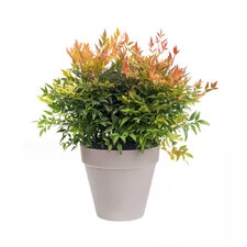 ELHO LOFT URBAN DONICZKA 20CM SZARA