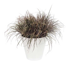 ELHO LOFT URBAN DONICZKA 25CM BIAŁA