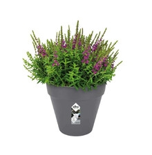 ELHO LOFT URBAN DONICZKA 25CM CIEMNO SZARA