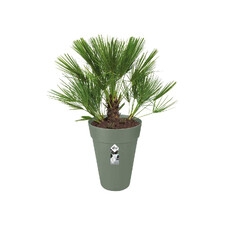 ELHO LOFT URBAN ROUND DONICA WYSOKA 28CM PISTACJOWA