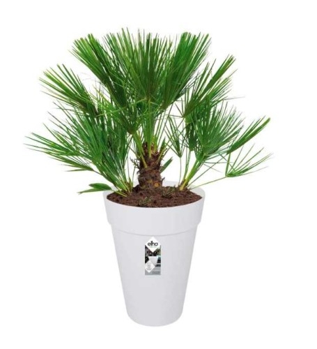 ELHO LOFT URBAN WYSOKA DONICZKA 28CM BIAŁA
