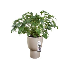ELHO PURE COUPE 41CM DONICA BEŻ