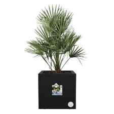 ELHO VIVO NEXT SQUARE 30CM DONICA KWADRATOWA CZARNA