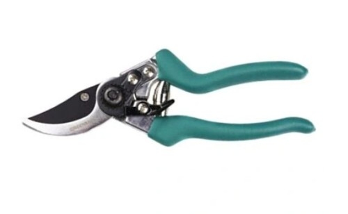 FLORALAND Sekator prof. GR6202