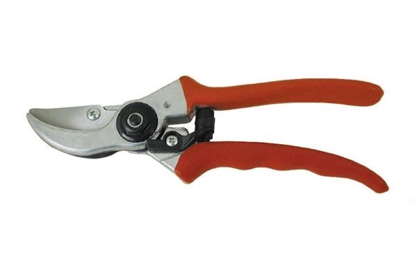 FORBICI VIGNA IMPORT MOD.850