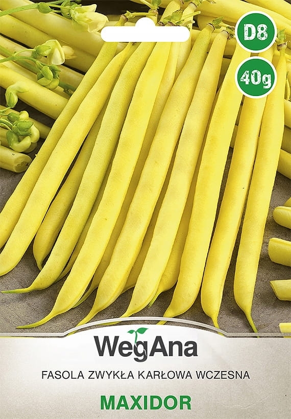 Fasola Szparagowa Maxidor Bezwł&oacute;knista karłowa 40g - WegAna