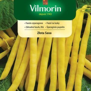 Fasola Szparagowa Złota Saxa 30g - VILMORIN