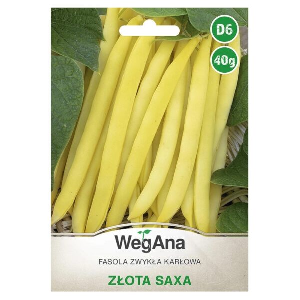 Fasola Zlota Saxa karłowa wczesna 40g - WegAna