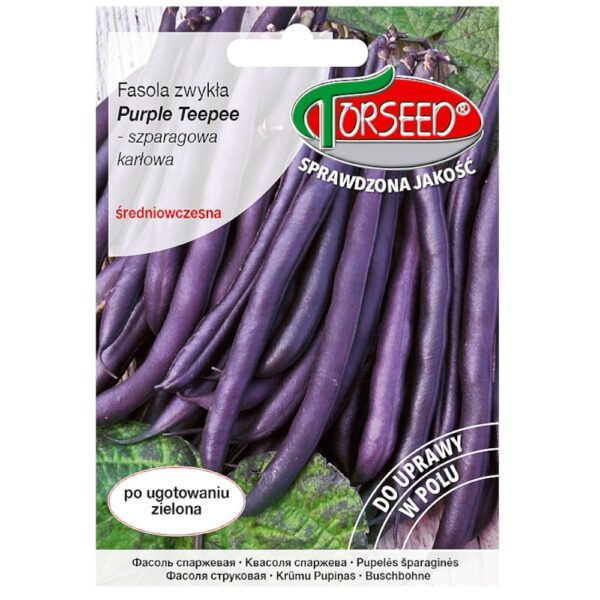 Fasola fioletowa Purple Teepee nasiona 30g - TORSEED