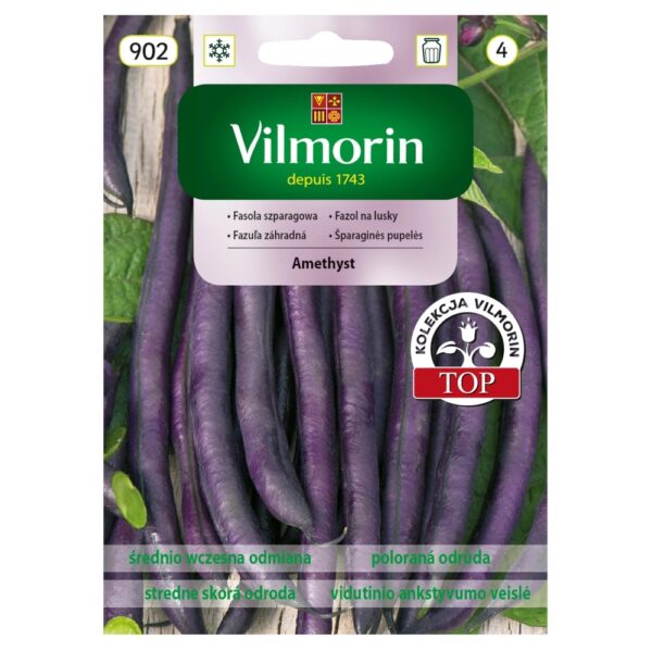 Fasola szparagowa Amethyst nasiona 30g - VILMORIN