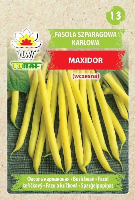 Fasola szparagowa Maxidor nasiona 50g - TORAF