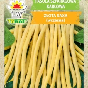 Fasola szparagowa Złota Saxa nasiona 50g - TORAF