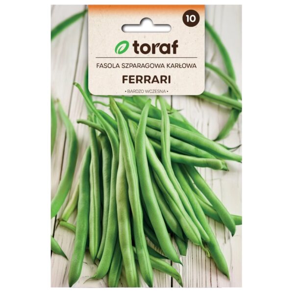 Fasola szparagowa karłowa Ferrari nasiona 30g - TORAF