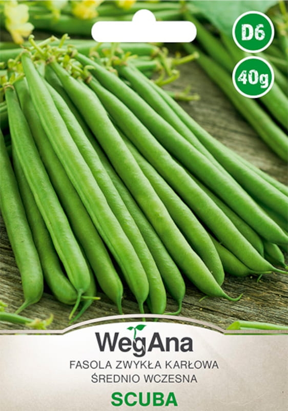 Fasola szparagowa karłowa Scuba nasiona 40g - WegAna