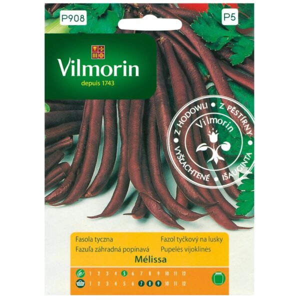 Fasola tyczna szparagowa fioletowa Melissa nasiona 10g - VILMORIN