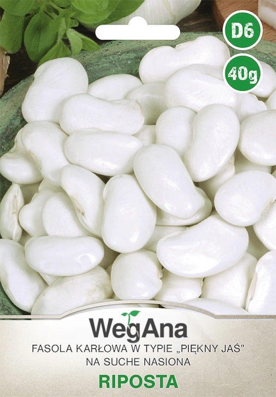 Fasola wielkokwiatowa karłowa na nasiona Riposta 40g - WegAna
