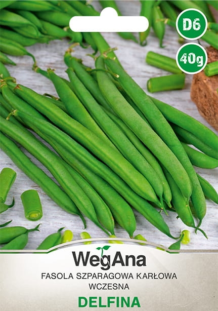 Fasola zwykła karłowa Delfina 40g - WegAna