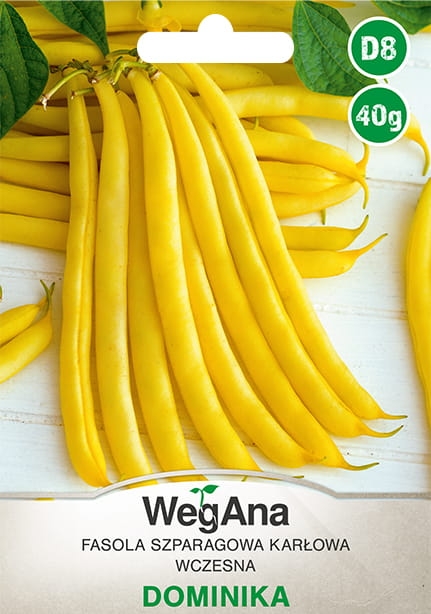 Fasola zwykła karłowa Dominika 40g - WegAna