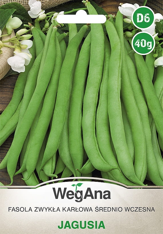 Fasola zwykła karłowa Jagusia 40g - WegAna