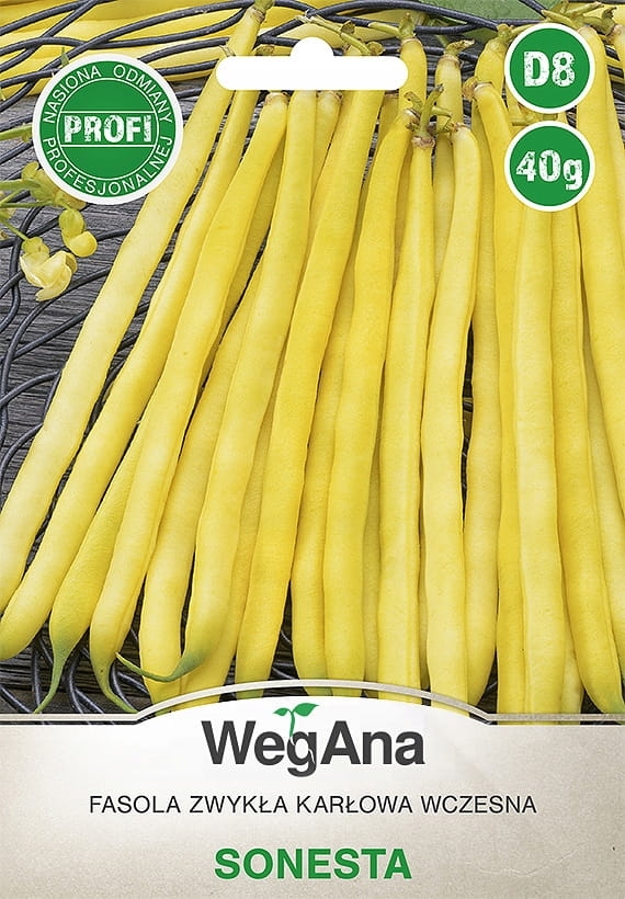 Fasola zwykła karłowa wczesna Sonesta 40g - WegAna