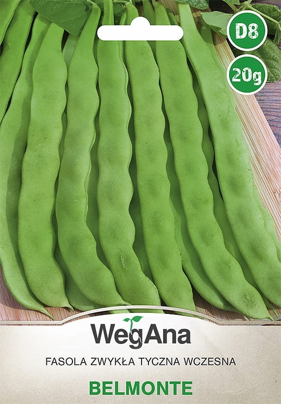 Fasola zwykła tyczna wczesna Belmonte 20g - WegAna