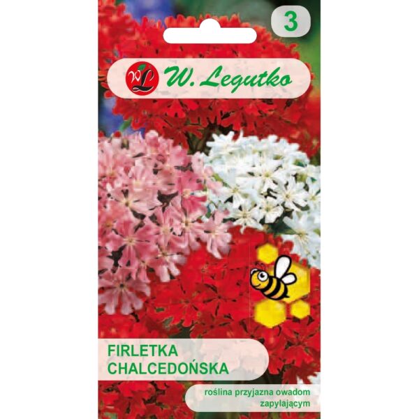 Firletka chalcedońska mieszanka nasiona 0