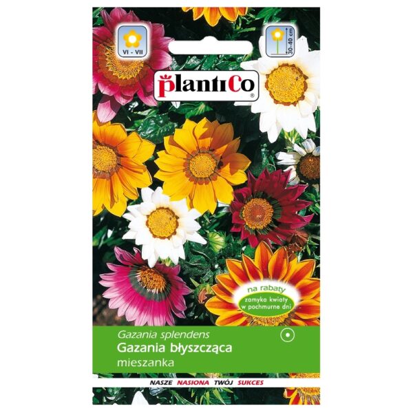 Gazania błyszcząca mieszanka nasiona 0
