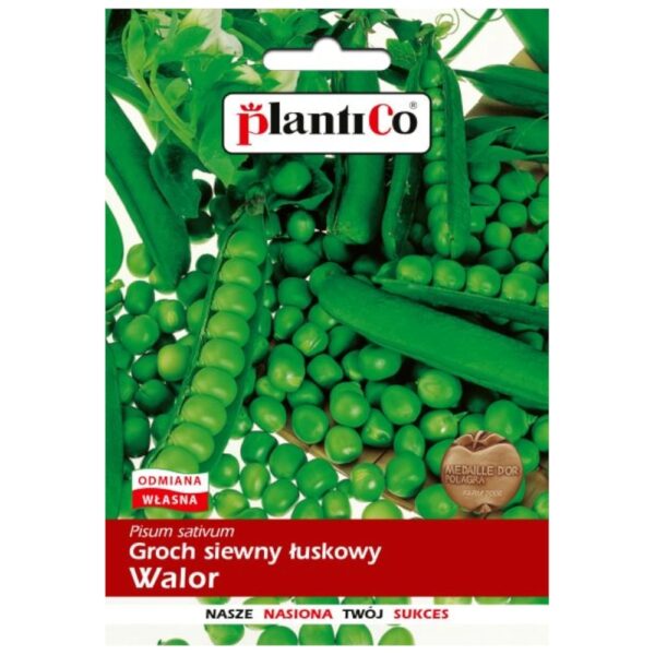 Groch łuskowy Walor nasiona 40g - PlantiCo