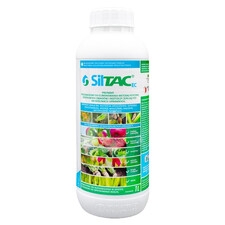 ICB Pharma Siltac EC 1L