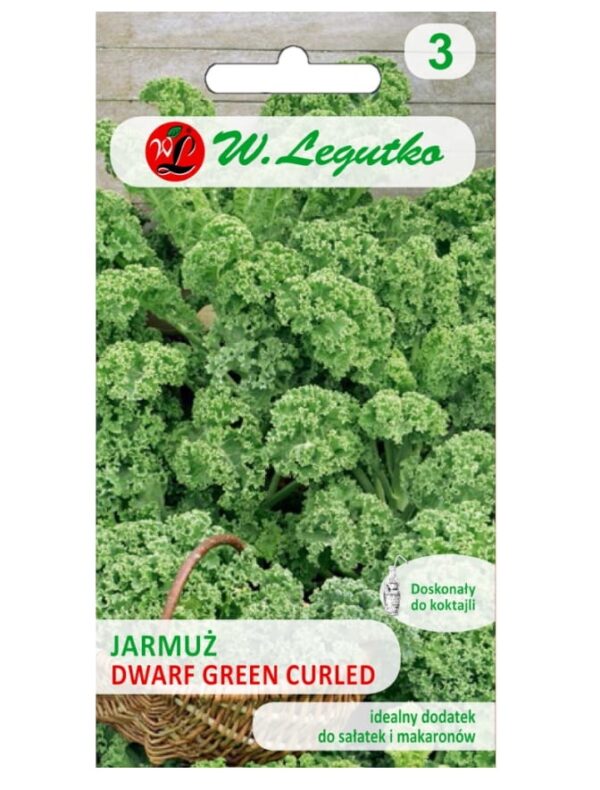 Jarmuż Dwarf Green Curled nasiona 1g - W. Legutko