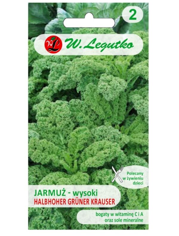 Jarmuż Halbhoher Gr&uuml;ner Krauser nasina 1g - W. Legutko
