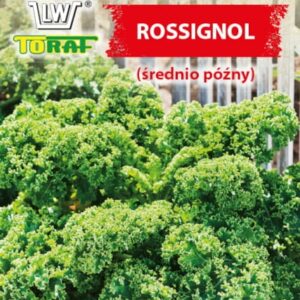 Jarmuż Rossignol nasiona 1g - TORAF