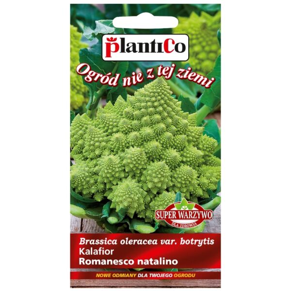 Kalafior Romanesco Natalino nasiona 0