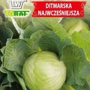 Kapusta głowiasta biała Ditmarska nasiona 2g -TORAF