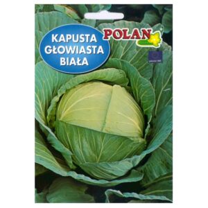 Kapusta głowiasta biała Jasper mieszaniec nasiona 0