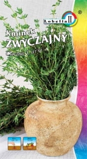 Kminek zwyczajny 1g - LOBELIA II