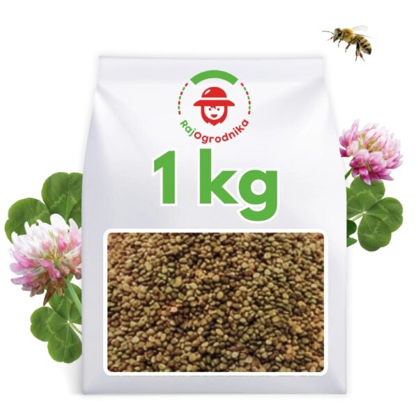 Koniczyna Szwedzka Aurora C/1 nasiona 1kg - FN Granum